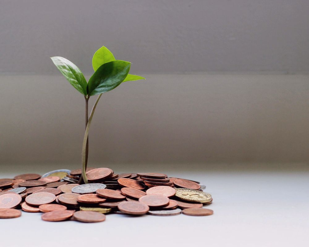 Coins in a plant pot, pay with USDT